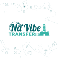 Logo-na-vibe-transfer